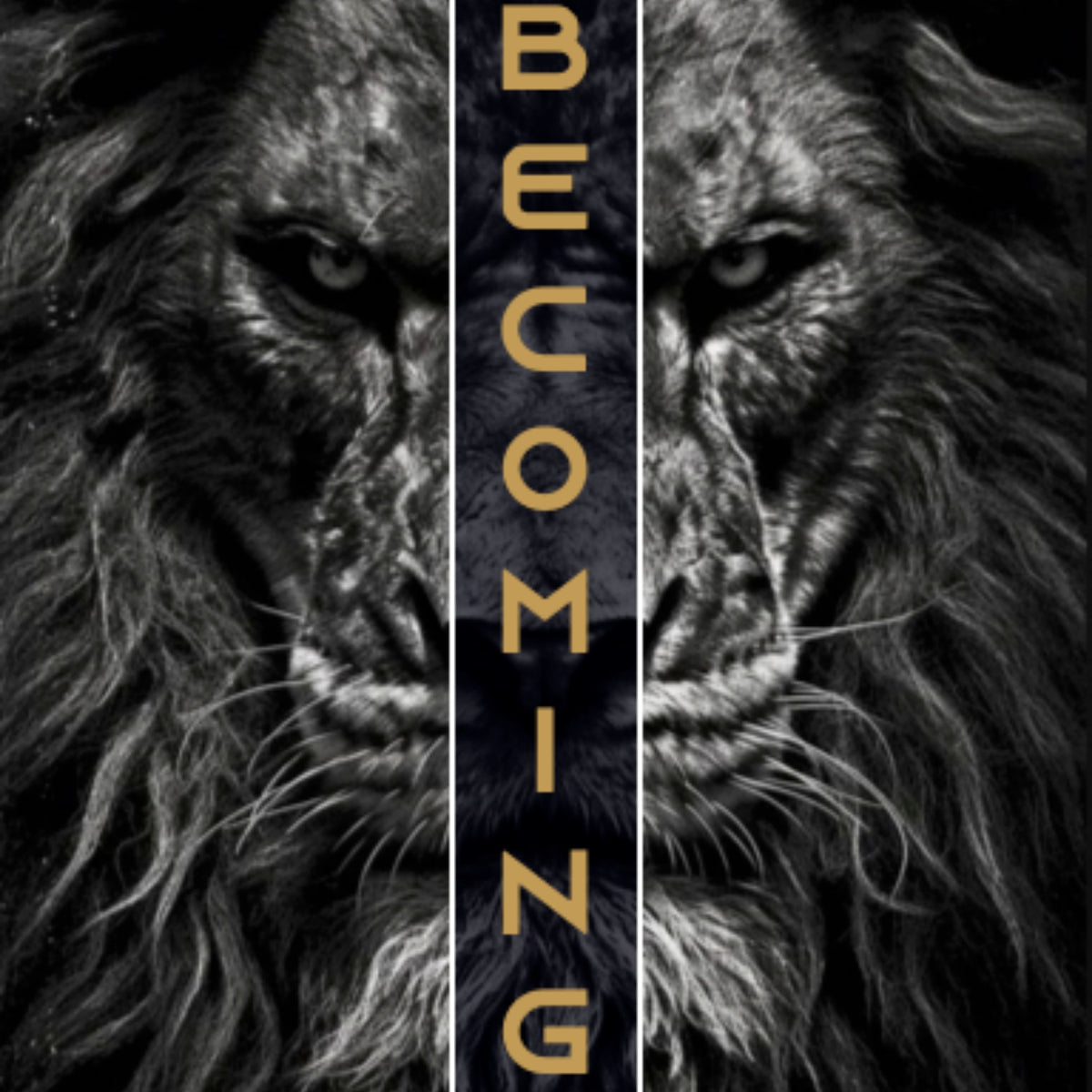 LONO FLOW S Haze Barefoot Workout Shoes